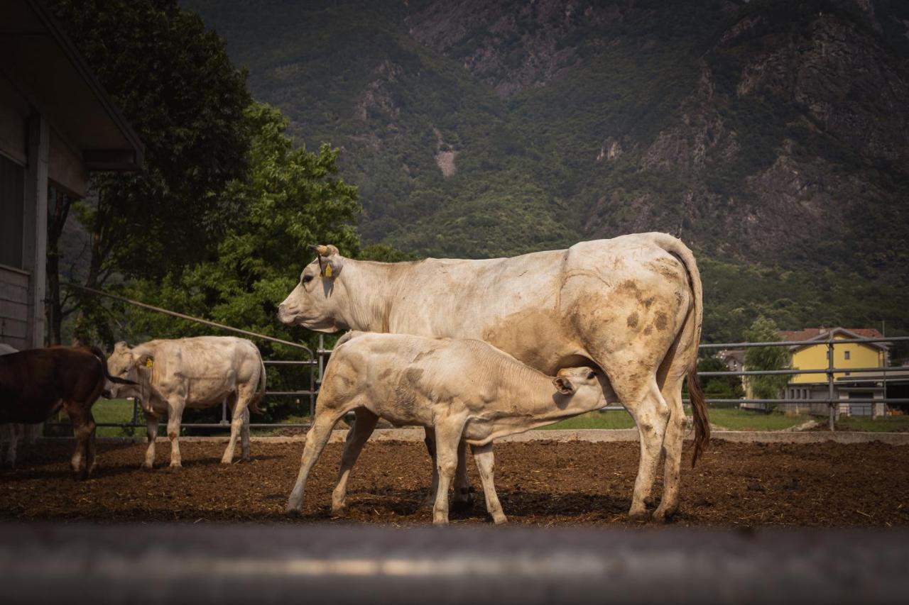 Agriturismo La Campagnola Gordona المظهر الخارجي الصورة